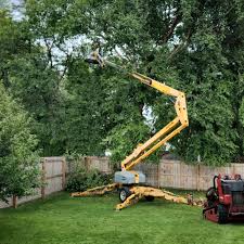 Best Utility Line Clearance  in Clover Creek, WA