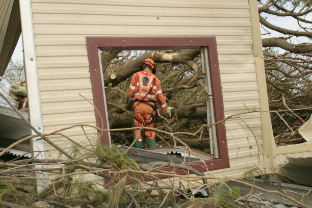 Best Stump Grinding and Removal  in Clover Creek, WA