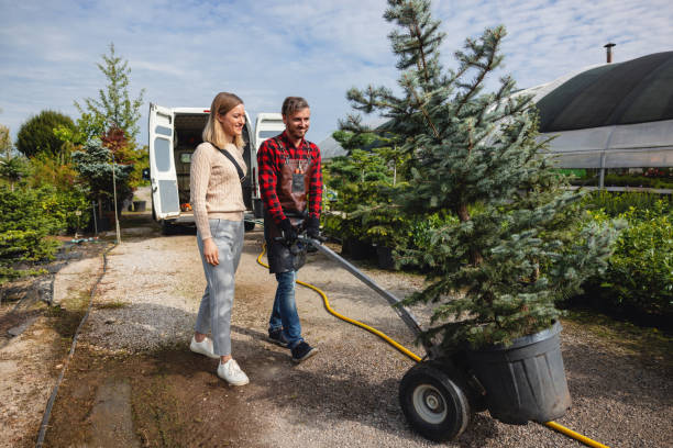 Best Seasonal Cleanup (Spring/Fall)  in Clover Creek, WA